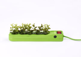 electric socket with plants on white background 2021 08 30 02 12 54 utc scaled